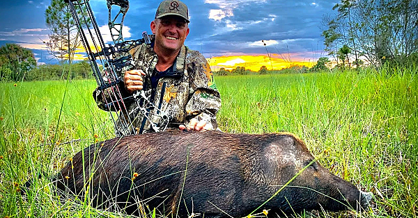 2 Epic Bow Hunts For Wild Boar With No Ears!!!! {catch Clean Cook} Brand New Bow!