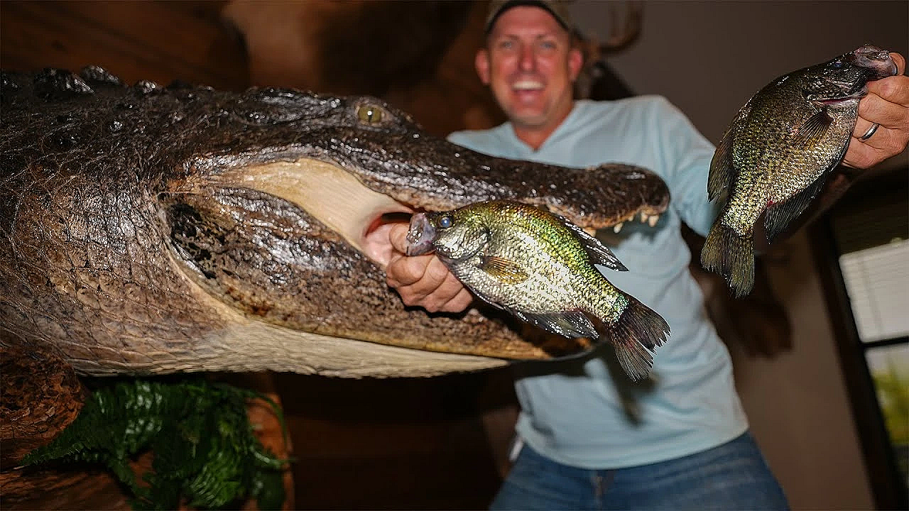 Crappie Fishing In My Favorite Gator Hole! {catch Clean Cook} Wild Boar Tasso