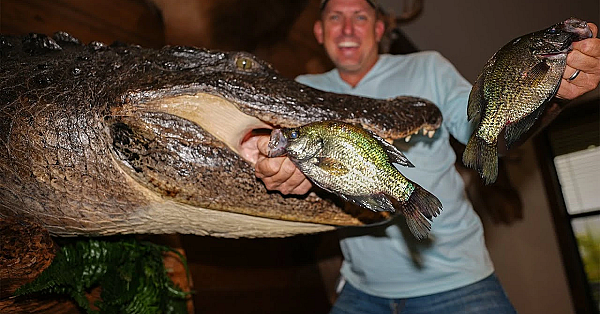 Crappie Fishing In My Favorite Gator Hole! {catch Clean Cook} Wild Boar Tasso