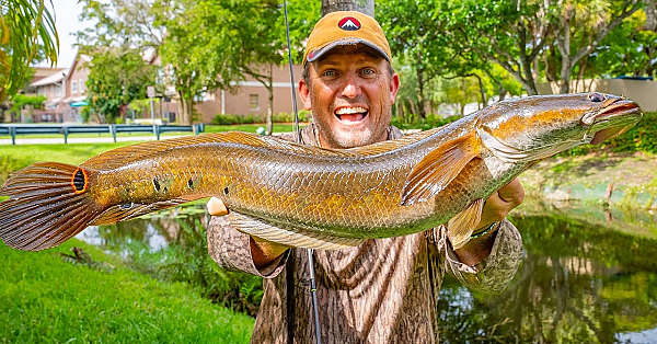 The Best Fresh Water Fish In The World! {catch Clean Cook} Fishing Urban Creeks