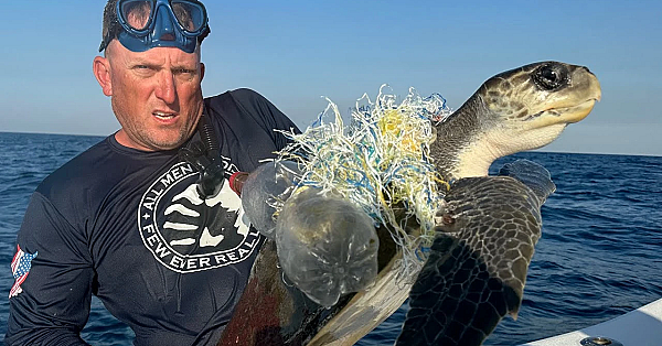 The Worlds Best Fishing! {catch Clean Cook} Saved A Sea Turtle!