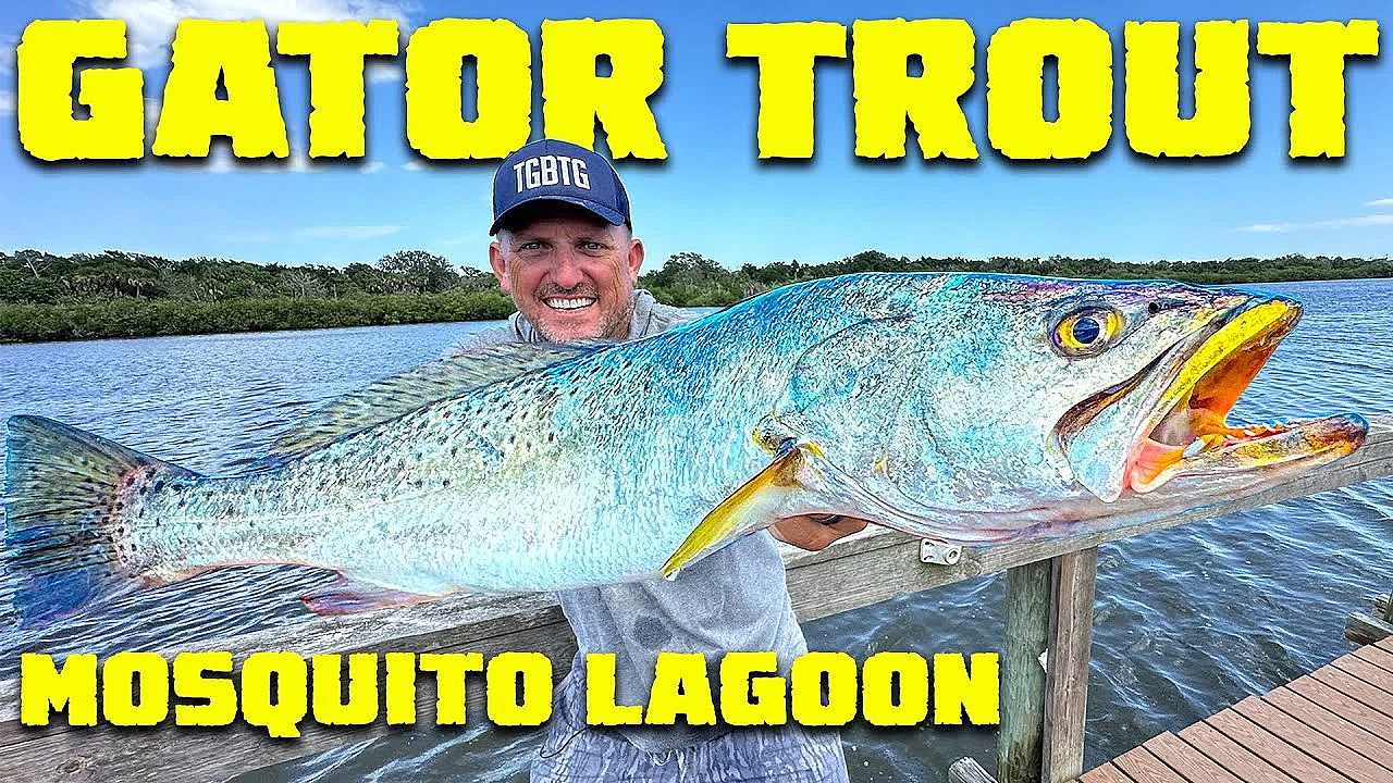 Gator Trout {catch Clean Cook} Mosquito Lagoon