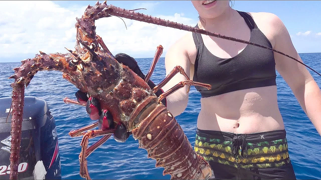 Lobster {catch Clean Cook} How To Cook Lobster Tail