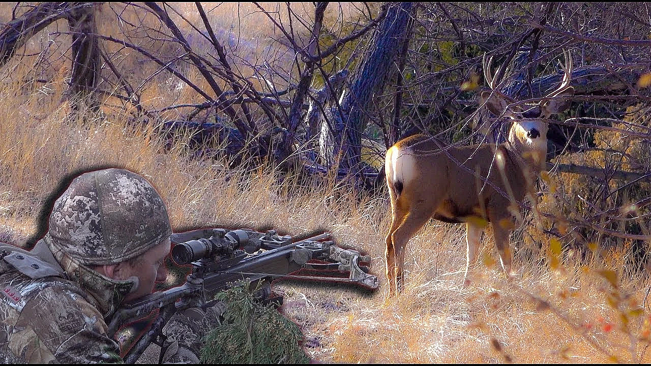 Super Close Archery, All Wild Natural Sounds Of Nature! {catch Clean Cook} Flat Iron Venison