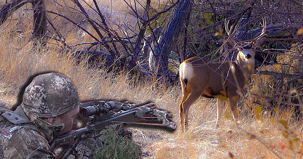 Super Close Archery, All Wild Natural Sounds Of Nature! {catch Clean Cook} Flat Iron Venison