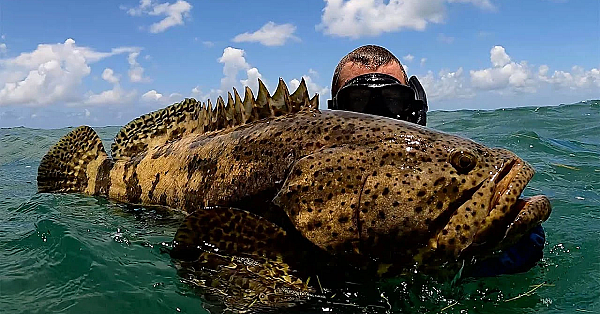 Catching Giant Fish By Hand! Holding My Breath! {catch Clean Cook} With Bluegabe And Deermom