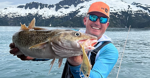 Alaska's Best Tasting Fish! {catch Clean Cook} Fresh Arctic Cod