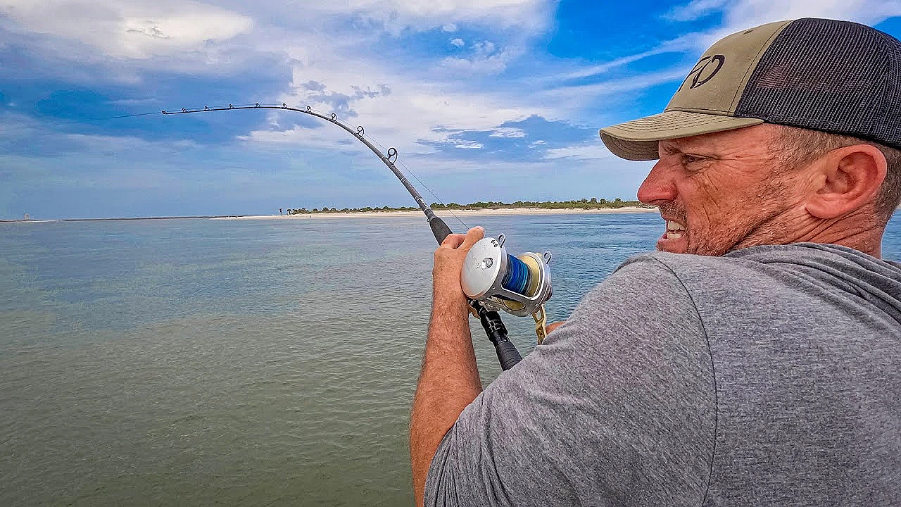 Sharks Have Ruined Florida!!! (catch Clean Cook} Ponce Inlet