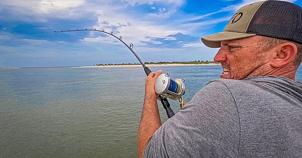 Sharks Have Ruined Florida!!! (catch Clean Cook} Ponce Inlet