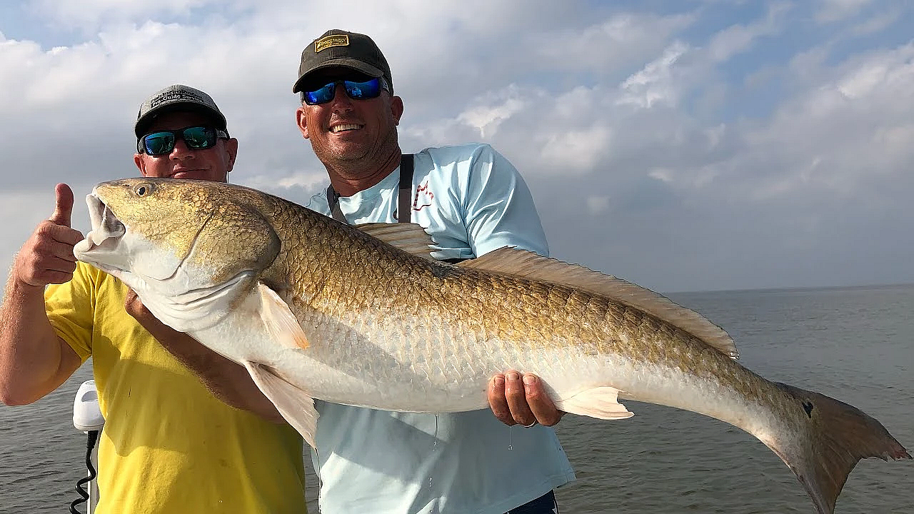 Giant Red Drum {catch Clean Cook} Largest Redfish I've Ever Caught!