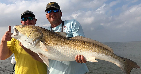 Giant Red Drum {catch Clean Cook} Largest Redfish I've Ever Caught!