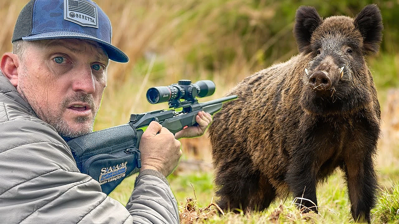 This Took 500 Years! The Burris Eliminator 6 And The Beretta Brx1 Vs Wild Boar! {catch N' Cook}
