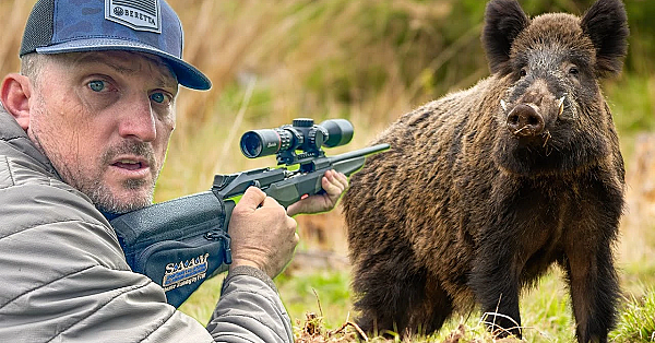 This Took 500 Years! The Burris Eliminator 6 And The Beretta Brx1 Vs Wild Boar! {catch N' Cook}