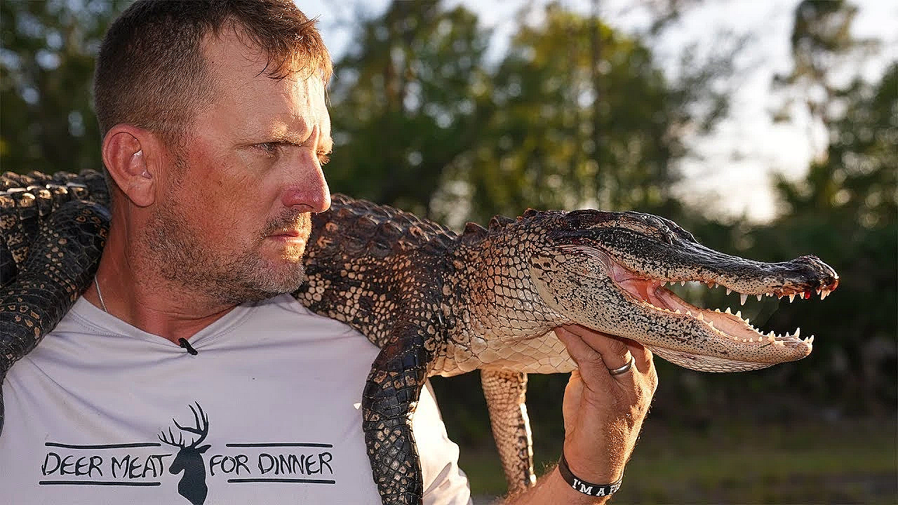 How To Put A Wild Alligator To Sleep! {catch Clean Cook} 3 Full Videos