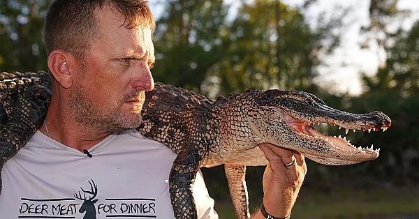 How To Put A Wild Alligator To Sleep! {catch Clean Cook} 3 Full Videos