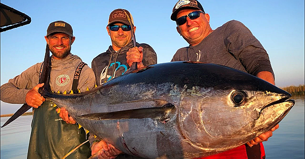 Massive Ahi Tuna - Caught On My Boat! {catch Clean Cook} Fish Intimidator Lodge