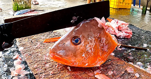 Latin Street Food! Expert Fish Cutter At Local Fish Market {guatemala}