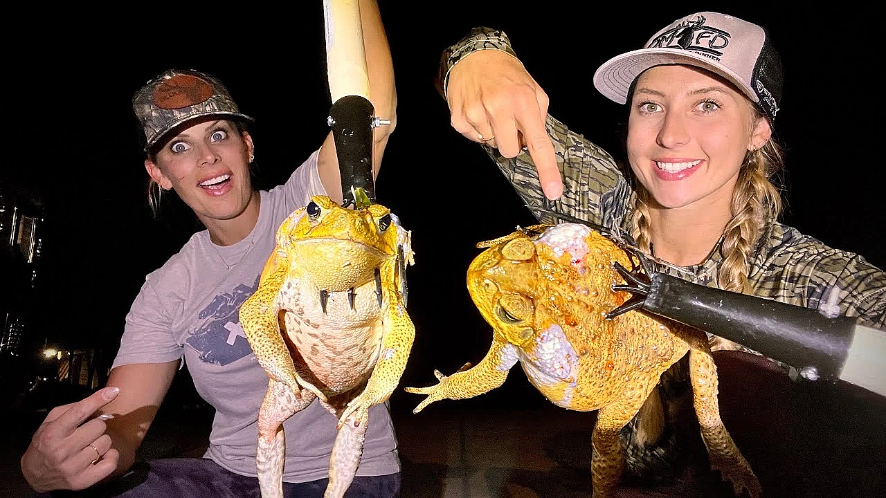 Deadly Cane Toads Nearly Killed Our Dog!!!!!