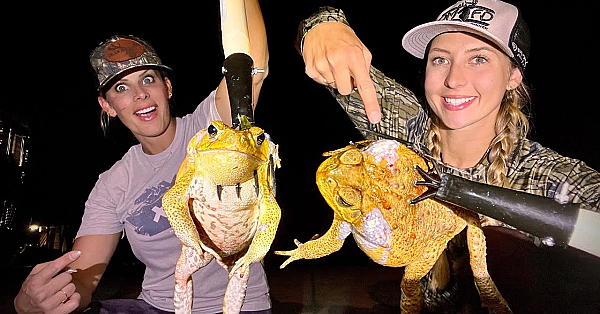 Deadly Cane Toads Nearly Killed Our Dog!!!!!