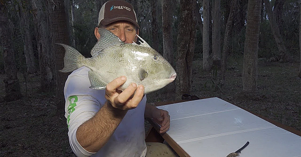 Tasty Triggerfish {catch Clean Cook} Chamorro Style