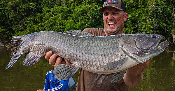 Fishing Lost Rivers For Prehistoric Wolf Fish! {catch Clean Cook} Rewa Eco Lodge, Guyana