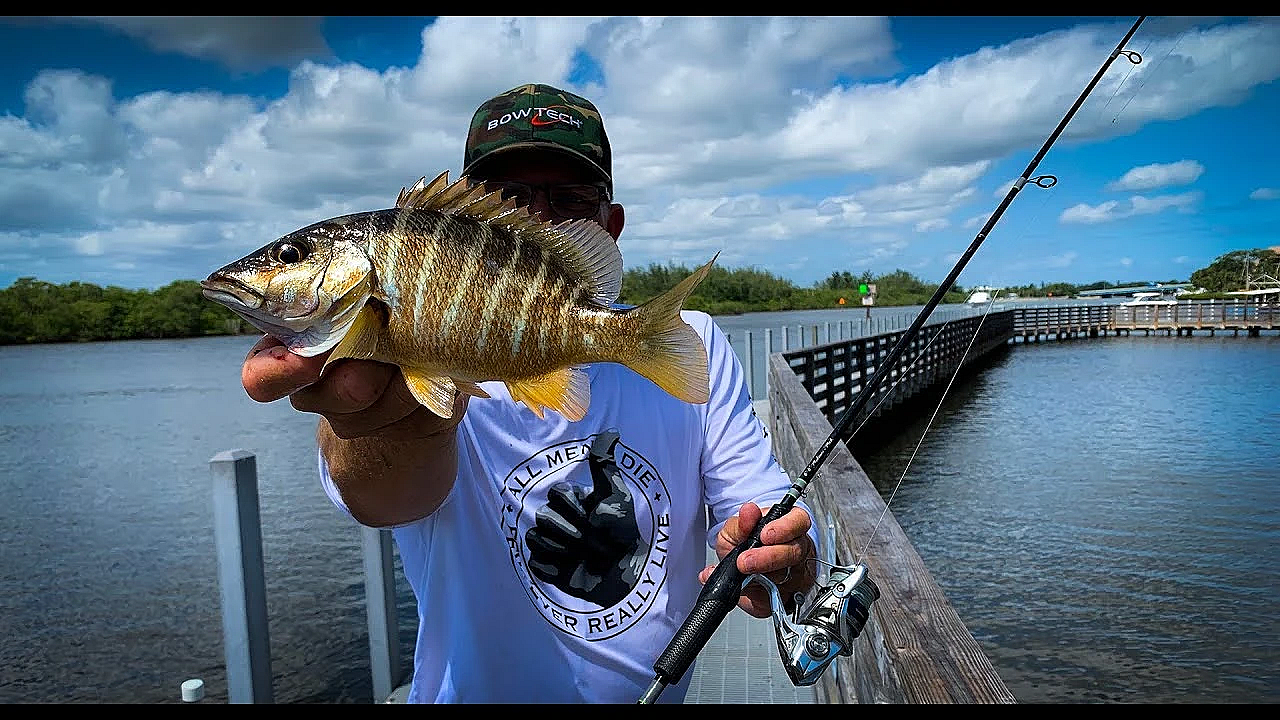 Broiled Bahamian Schoolmaster {catch Clean Cook} Sarah Works, Rob Goes Fishing!