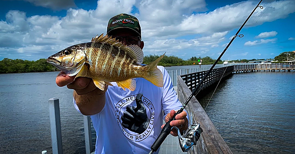 Broiled Bahamian Schoolmaster {catch Clean Cook} Sarah Works, Rob Goes Fishing!