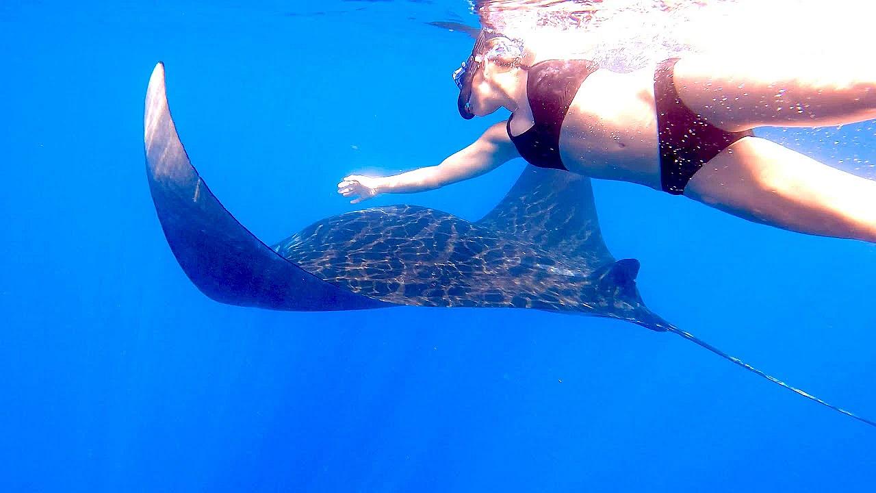 Monster Sea Creatures! {catch Clean Cook} Guatemala Style