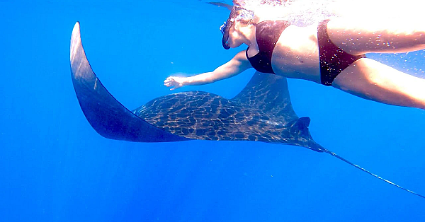 Monster Sea Creatures! {catch Clean Cook} Guatemala Style