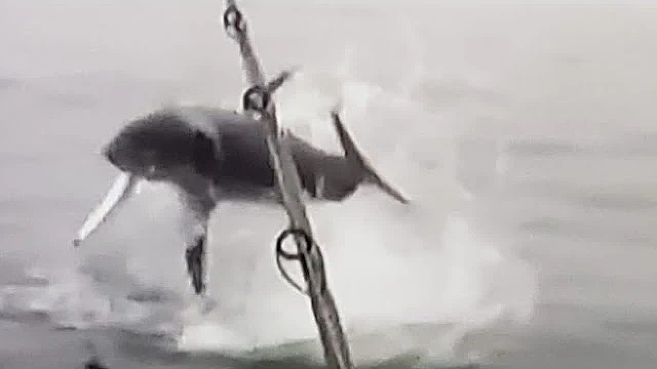 Massive Mako Airs Out On A Big Kingfish!!! Unbelievable Deep Sea Fishing!!!