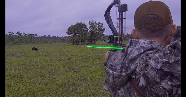 Wild Boar Spot N' Stalk With Burris Oracle {catch Clean Cook}