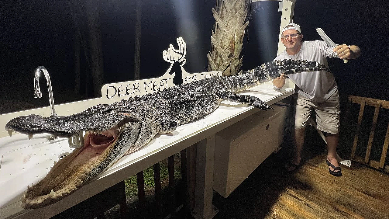 This Alligator Was A Man Eater {catch Clean Cook} We Ate His Tongue!