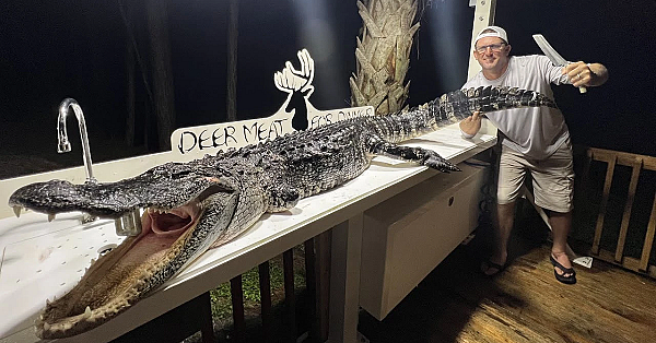 This Alligator Was A Man Eater {catch Clean Cook} We Ate His Tongue!