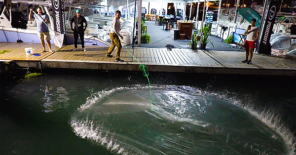 Catching Buckets Of Jumbo Shrimp At The Miami Boat Show {catch Clean Cook} On The Dock!