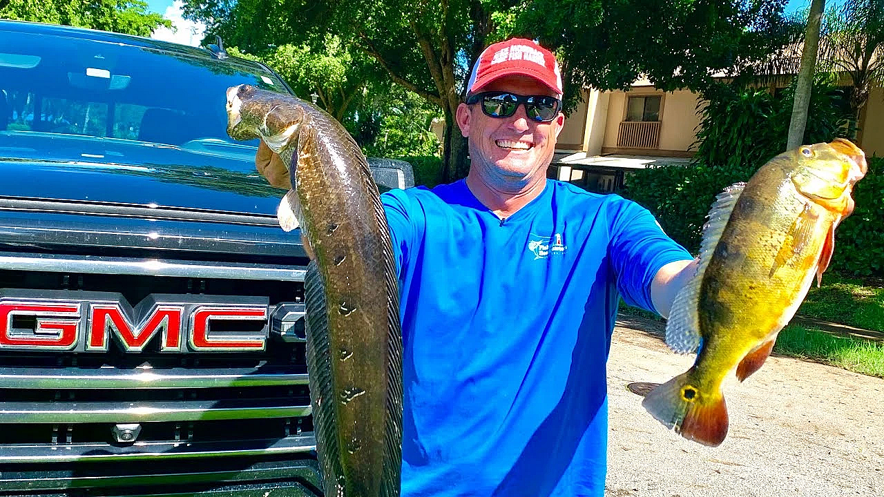 Snake Head Vs Peacock Vs Large Mouth {catch Clean Cook} 3 Way Taste Test!!!