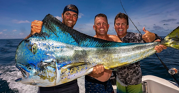 Monster Mahi Mahi On Ultra Light Rod!! {catch Clean Cook} Buena Vista Sportfishing, Guatemala