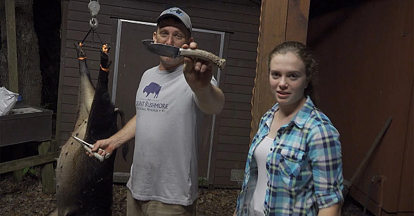 Beginners Guide To Cleaning And Quartering A Wild Pig