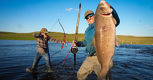 Bowfishing For Monster Buffalo Carp!!! {catch Clean Cook} Shocking!!!
