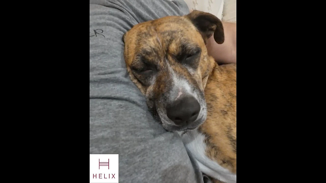 Helix Sleep - The Best Mattress Of 2026!