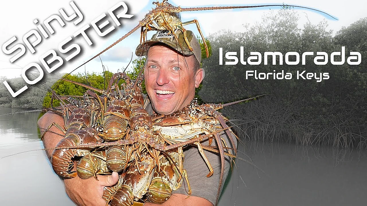 Snorkeling For Florida Lobster! {catch Clean Cook} The Florida Keys