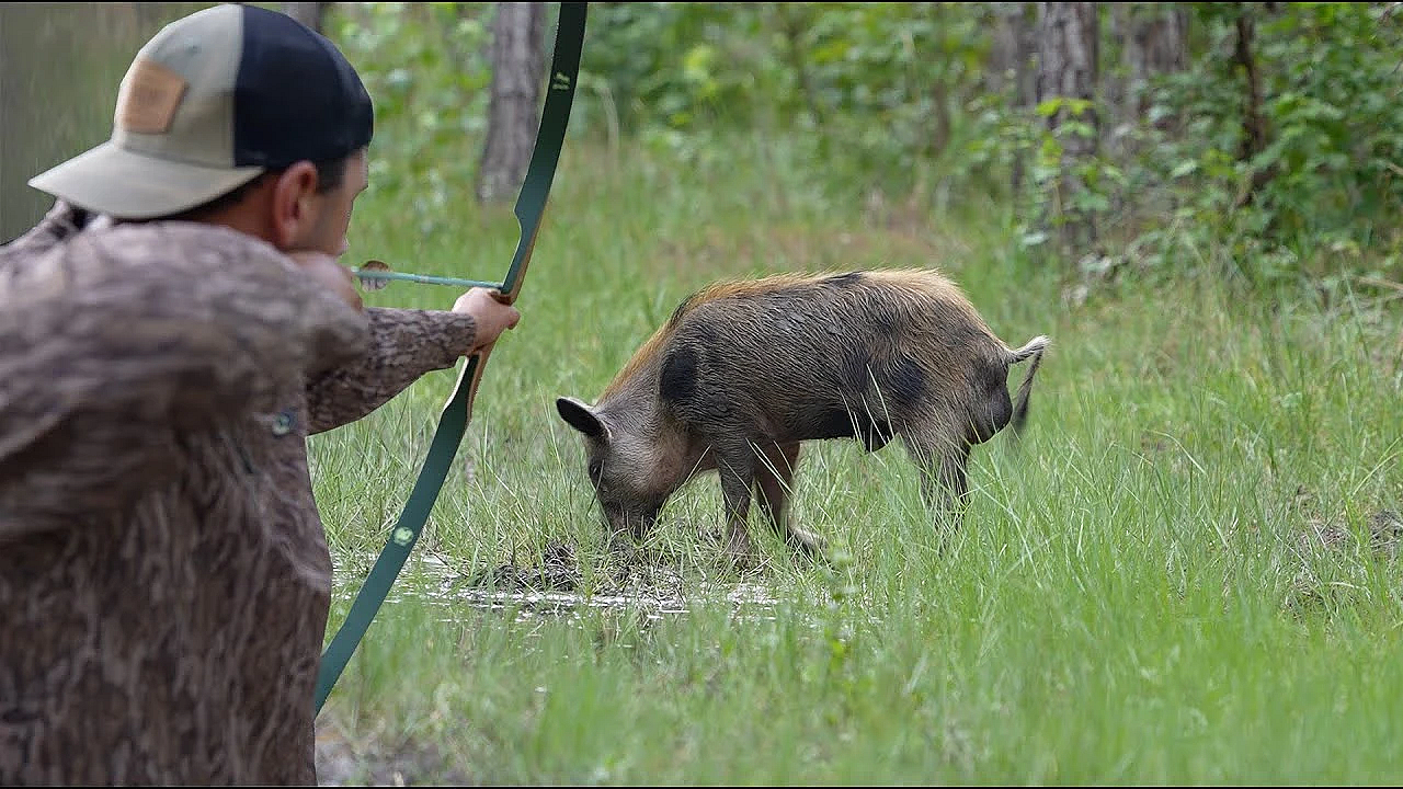 Hog Hunt On New Florida Property {catch Clean Cook} Hog Hunt With Traditional Twist!