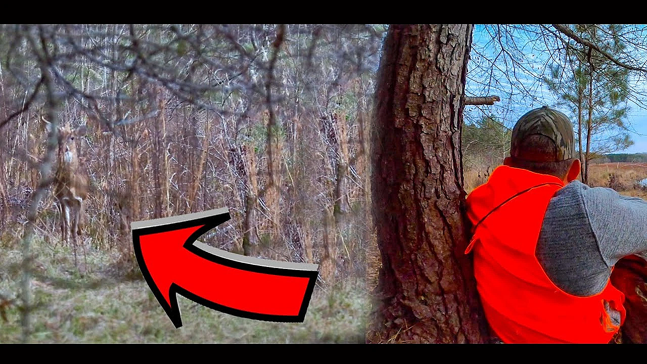 The Fastest And Most Humane Buck Hunt Ever!!! {catch Clean Cook} Ft. The Hunter Chef