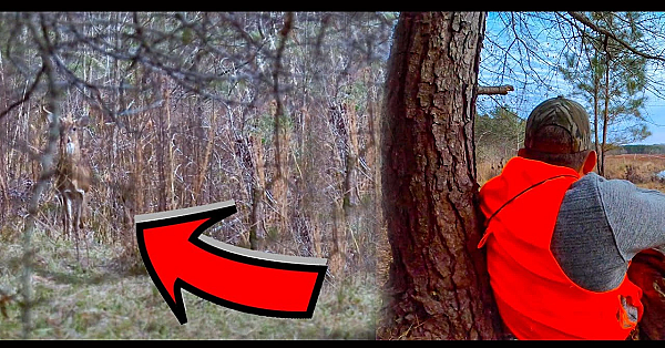 The Fastest And Most Humane Buck Hunt Ever!!! {catch Clean Cook} Ft. The Hunter Chef