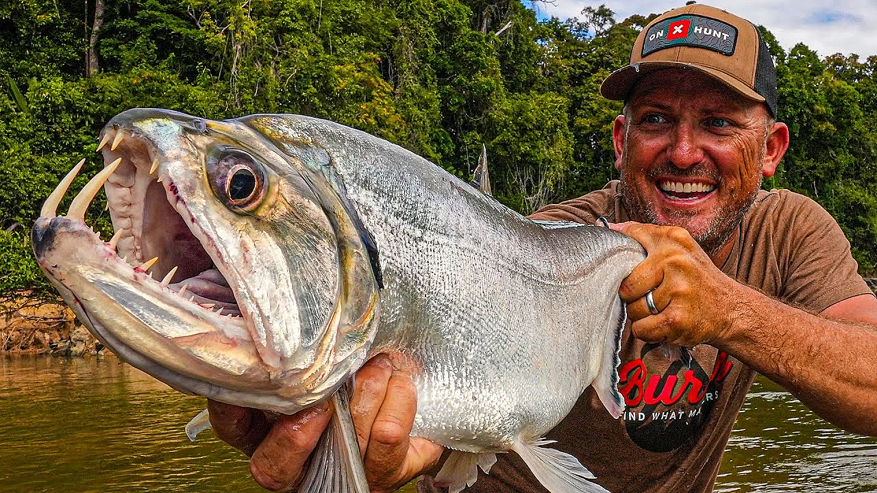 This Vampire Fish Is Lethal!!! {catch Clean Cook} Monster Payara On Rewa River, Guyana