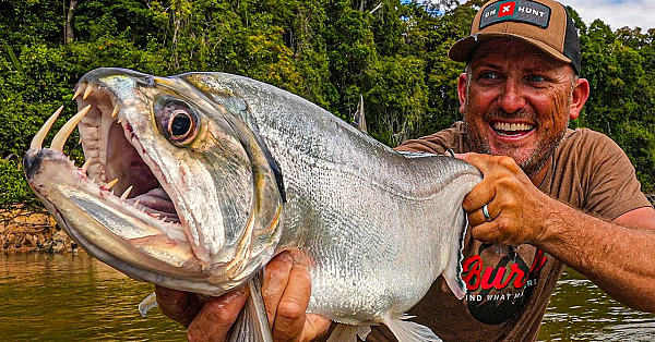 This Vampire Fish Is Lethal!!! {catch Clean Cook} Monster Payara On Rewa River, Guyana
