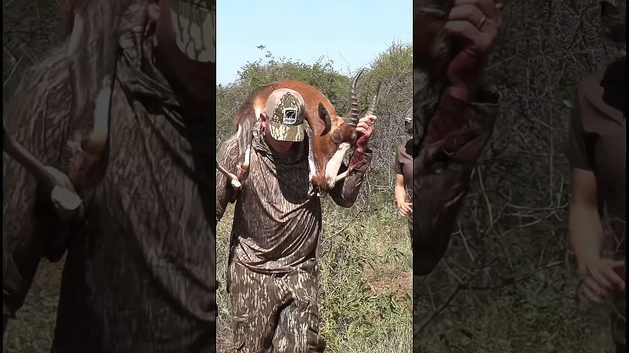 African Backpack  #shorts #wildcatch