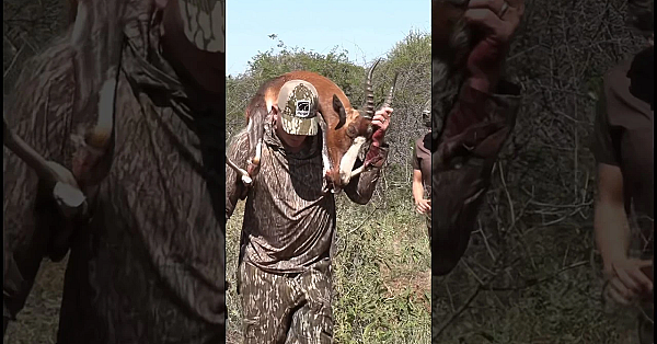 African Backpack  #shorts #wildcatch