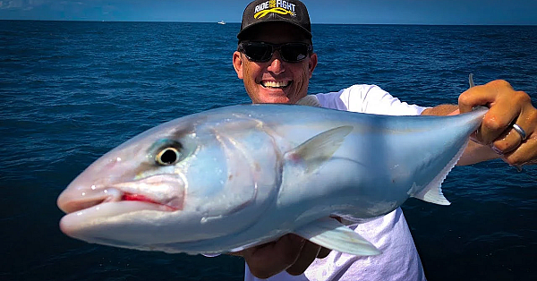 Amberjack {catch Clean Cook} Tasty Tuesday