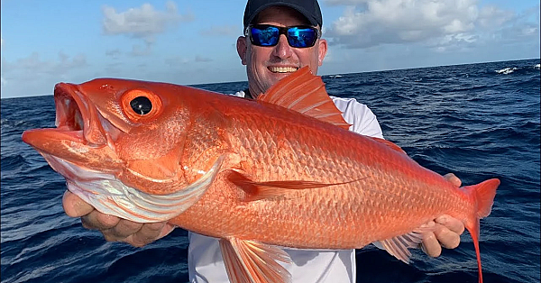 Crossing The Atlantic Ocean, Florida To The Bahamas {catch Clean Cook} Whole Queen Snapper Grilled!