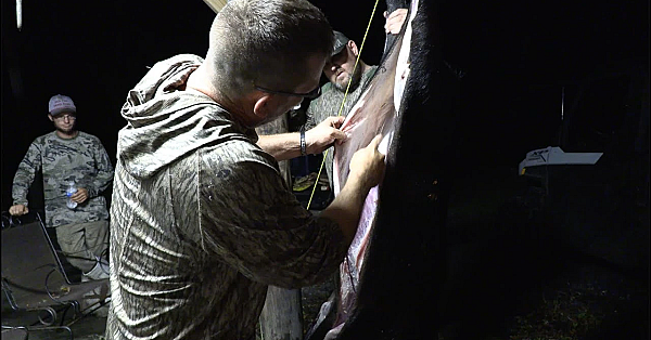 How To Completely Skin And Quarter A Hog!